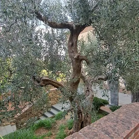 Casina Di Alice * Vinci